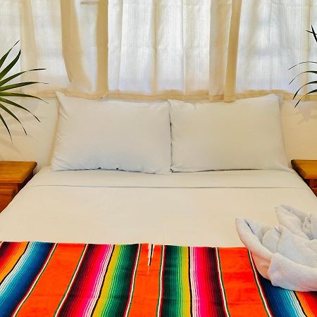 Villa Casa Erizo Mahahual - Adults Only Extérieur photo